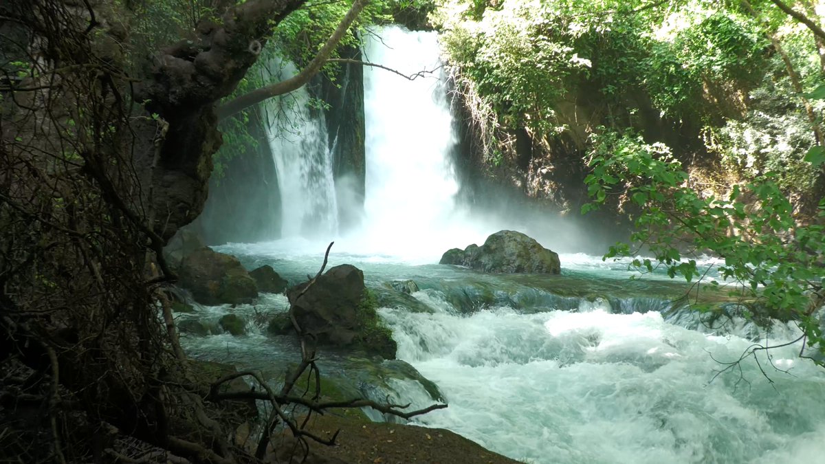 PavelPlatonov9's tweet photo. The source of the Jordan River is the Banias Falls. Reaches a height of 10 meters. River Hermon (Banias). Upper Galilee. #israel #sun #sunsets #sunset #sunshine #mediterraneansea #earth #israeltours #holyland #galilee #fall #falls #water #waterfall #river #mountains https://t.co/Lp4DElcQYu
