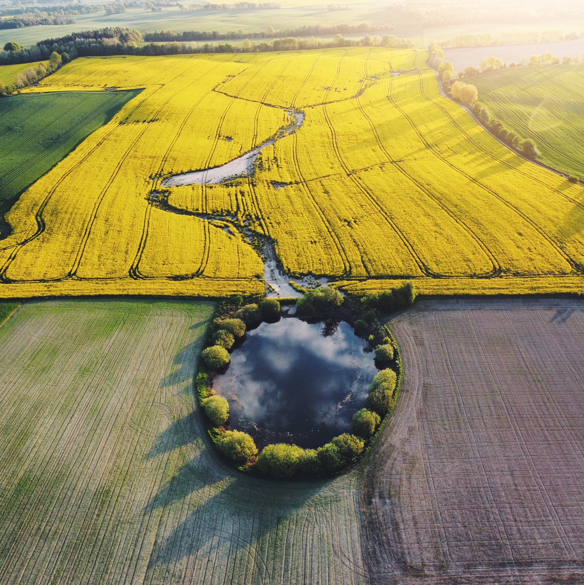 moondek's tweet photo. Dzień dobry! @MeteoprognozaPL @vsco @DJIGlobal https://t.co/8byN9CgOII