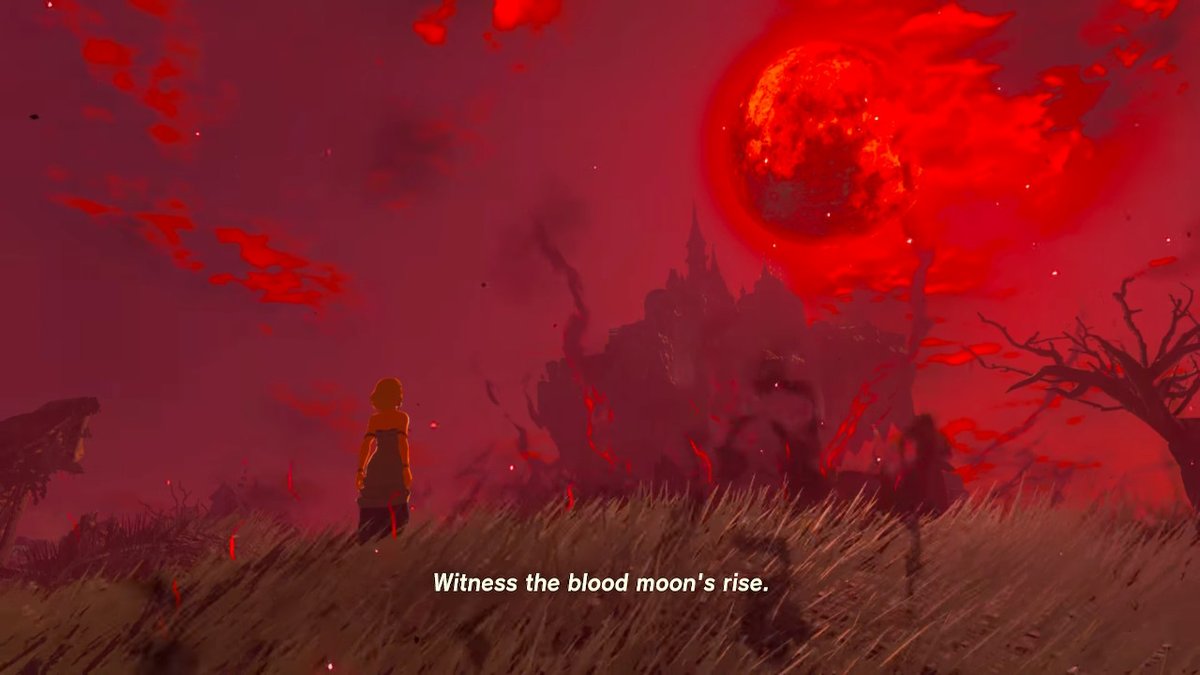 mudkrip1's tweet photo. #TearsOfTheKingdom #Zelda #NintendoSwitch https://t.co/xKbDKfH17Q