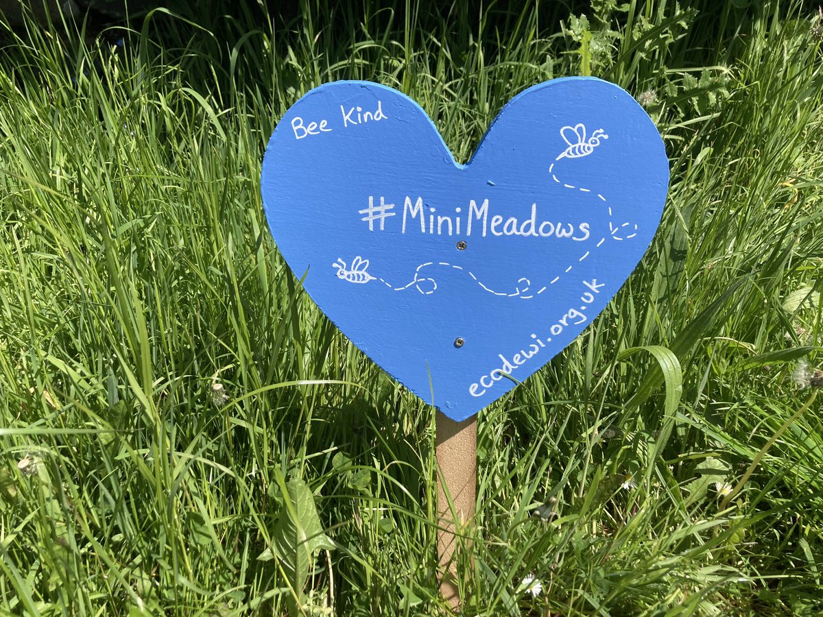 EcoDewiGroup's tweet photo. @CoshestonVC @PembsOutdoorSch @cymbrogifutures @SchoolsPembs Fantastic news!!! So exciting that youβre creating a wildflower meadow at the school. Trevor and Bryony are great! Would you like one of our #bluehearts to display in your new #minimeadows? https://t.co/Au95HXp4hu