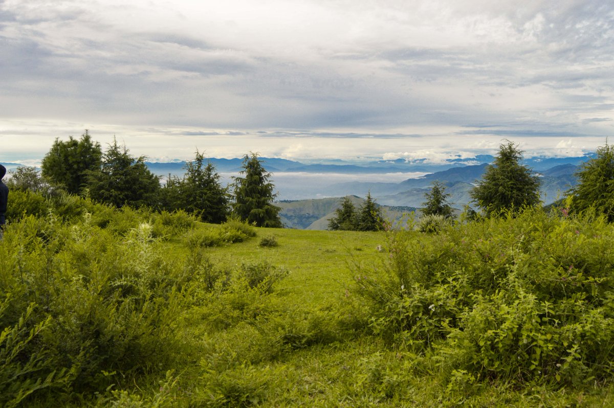 gdaabbottabad's tweet photo. Dhanna Lodhran - Galiyat
Plan a green vacation to Galiyat, Leave no garbage but your footprints and memories
#GDA #Galiyat #Mesmerisingview #DhannaLodhran #KPTourism #EcoTourism @wasifsaeed85 @KITEProjectDoT @DC_abbottabad https://t.co/6Bp5TbgeFu