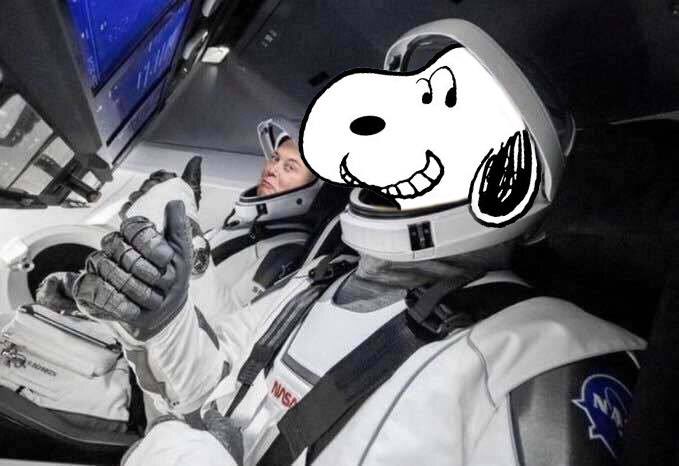-@ElonMusk beloved #LOVESNOOPY takes flight!  YEE~~  ✈️✨