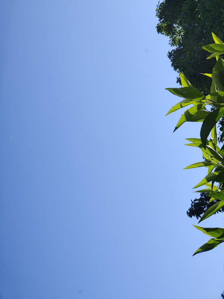 Vatertag - Wecker um 5 Uhr. Gegen 6 die Pilgermesse der Matthiasbruderschaft besucht, danach Schlange beim Bäcker und um 9 schon den 5. doppelten Espresso. Heute Abend dann Ansitz und dazwischen wahrscheinlich noch mehr Espresso... Und bei Euch so?