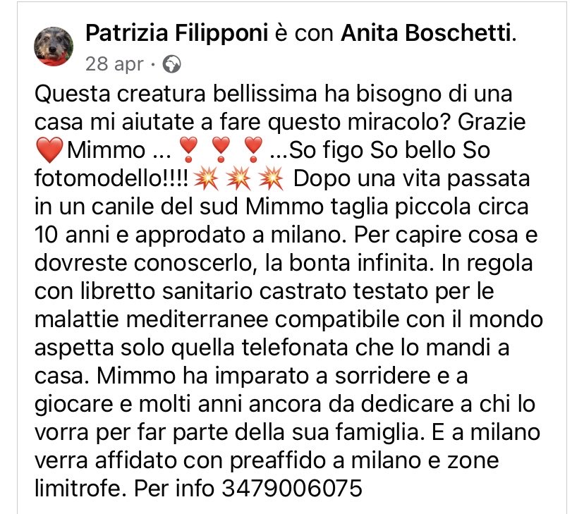 pattyfra1's tweet image. PATRIZIA FILIPPONI 
- Milano
🆘MIMMO CERCA CASA A MILANO E ZONE LIMITROFE🆘
Circa 10 anni passati in un canile del sud, tg piccola buonissimo
🔶INFO ☎️ 347.9006.075
#mimmo #canicercacasa 
🙏🆘🏡🙏🆘🏡🙏