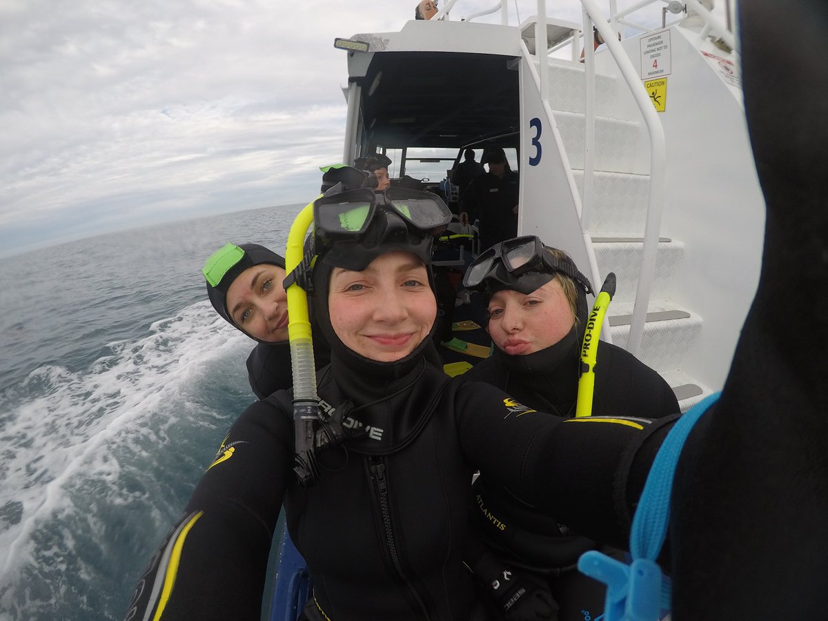 Swimming with the dolphins in Kaikōura best experience ever !