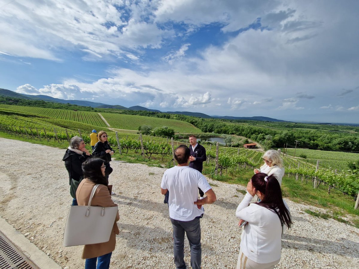 Med Pearls Project tweet media