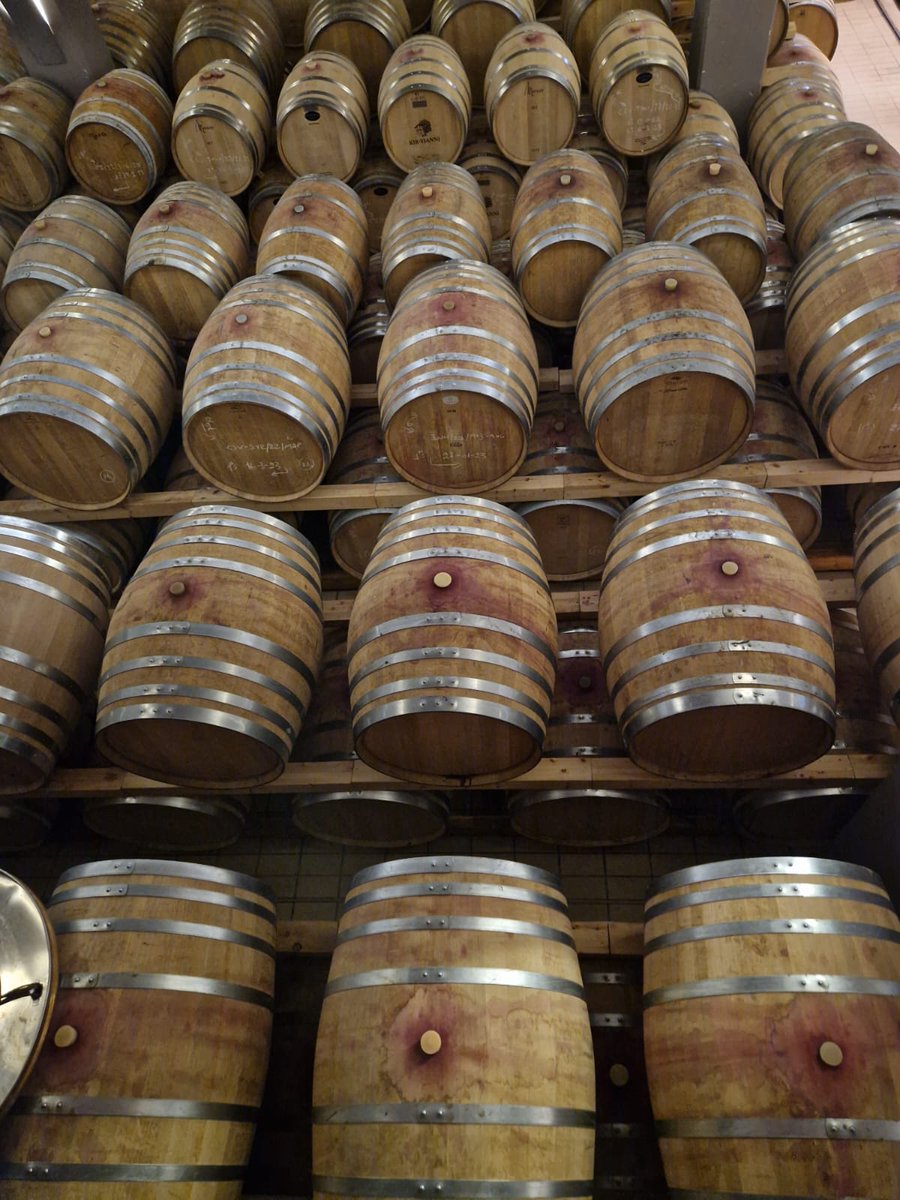 Med Pearls Project tweet media