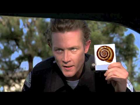 MigratoryMatt's tweet image. The image in my brain as I prepare to spend another day delving  into the snail collection....

#CollectionsManagement