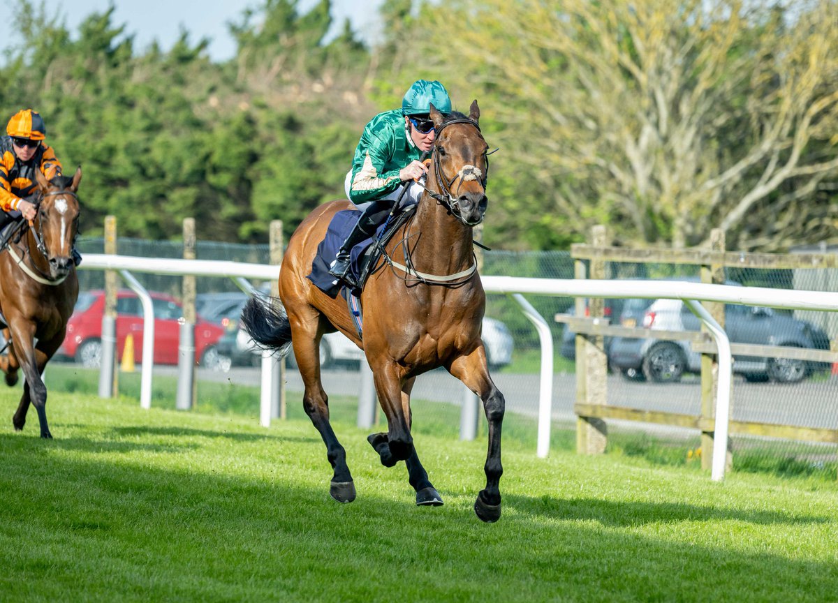 GreensRacing's tweet photo. Beauld As Brass runs in the 3.10 at @salisburyraces this afternoon 🐎 here’s hoping he can make it back to back wins! Best of luck to all his owners! 🙏 https://t.co/zu8hrHWSDZ