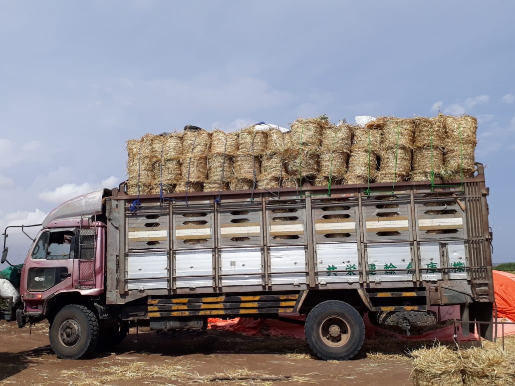 irdafrica_Kenya's tweet photo. @Ole_Tumanka @NEADAP_ @jrmitoko @KajiadoBees @SpryVoice You will not get far training #Kenya smallholder #farmers to grow fodder & keep #Livestock simultaneously. They don't have the capacity. They will lose #MONEY. Train them to grow #Kikuyu grass. They access high nutritional value #feedbeet pellets from IRDA through their Co-ops https://t.co/ChiXbZoTE8
