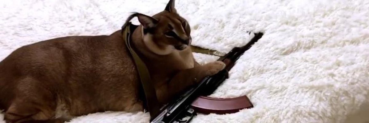 who to kill？ $PEPE ？