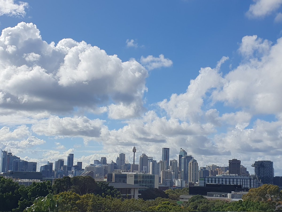 ⏰️📄 Despite a 4am alarm, I'm excited to be involved in the #AAMRISexAndGenderPanel. A deliberative panel charged with providing <a href="/AAMRI_Aus/">AAMRI</a> recommendations about the use of sex &amp; gender in medical research practices &amp; decision-making. The lunch time view wasn't half bad either