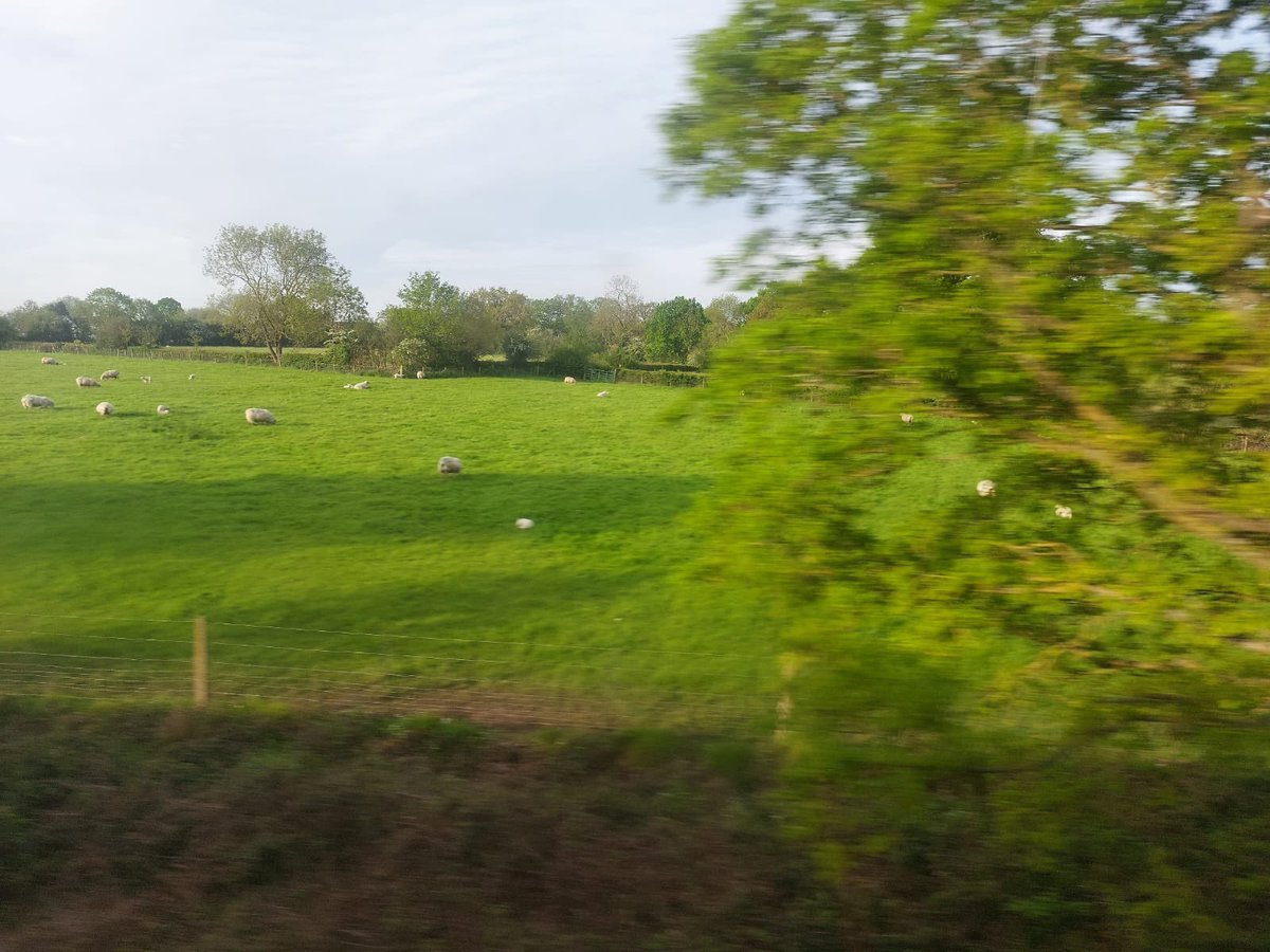 Wladek Forysiak tweet media