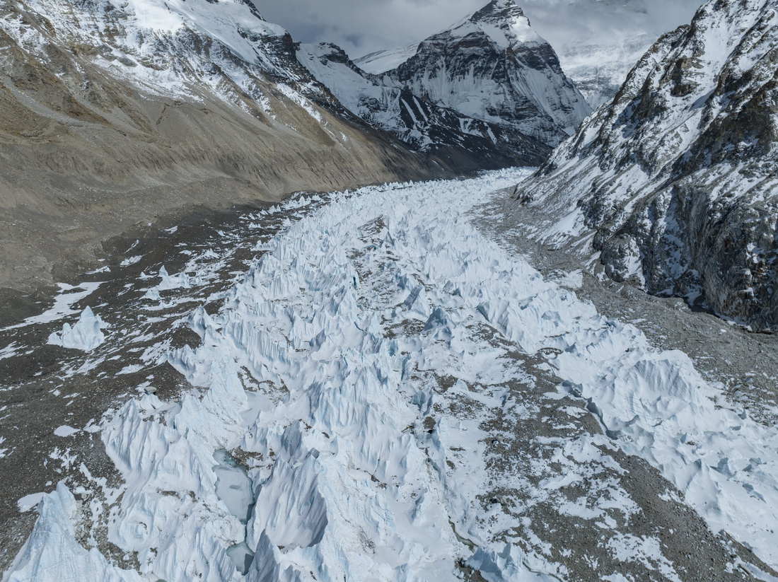 JaelynnPart tweet picture