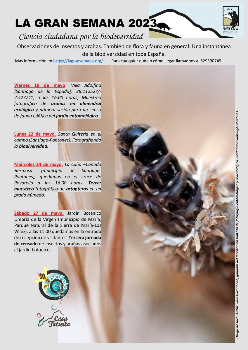 📸SANTIAGO-PONTONES. Biofoto participa en la Semana de la Salud organizada por el Ayuntamiento  de Santiago-Pontones. 🚀Ciencia ciudadana por la biodiversidad <a href="/QuebrantaPNCazo/">Quebranta PN Cazorla</a> <a href="/biofoto3/">biofoto</a>