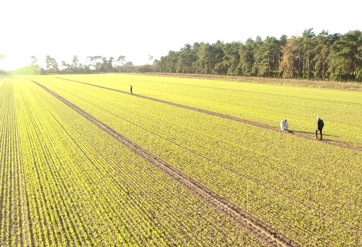 More Life, Less Water 💧
 
Day 4 of #watersavingweek is about embedded water.
 
Aquagrain we are on a mission to enable growers to improve their soil and grow healthy plants, using less water. 

#sustainable #watersaving #waterreduction #cleantech #agtech #soilimproving