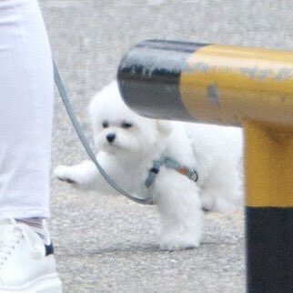 Ü (@havefun_w) on Twitter photo 