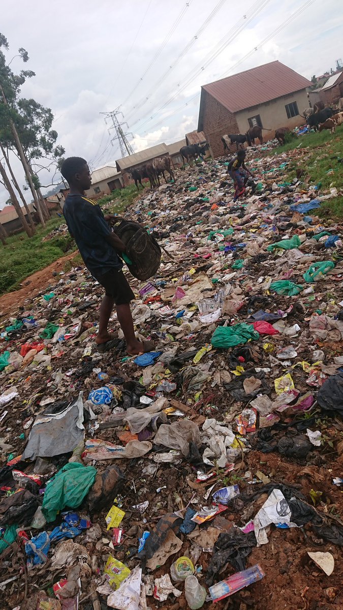 Doing their best out of collecting plastic
