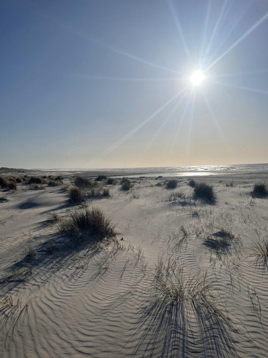The #EMBLTrec team is working hard in Denmark, but there is also time to explore the surroundings and relax with the colleagues.

We share some beautiful shots of the nature around Aarhus.

📸 <a href="/ValerieMaier6/">Valerie Maier</a> / <a href="/TinaEnd/">Tina Enders</a> / EMBL

<a href="/embl/">EMBL</a> <a href="/EMBRC_EU/">EMBRC (European Marine Biological Resource Centre)</a> <a href="/TaraOcean_/">Fondation Tara Océan</a>