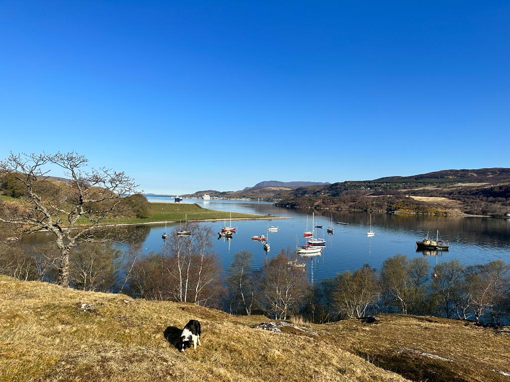 ScotAgritourism's tweet image. Next week's events begin @croft5loggie #Ullapool Tuesday 11 - 2. Particular focus on agritourism opps for crofts &amp;amp; the Highlands. Free &amp;amp; open to anyone with an agritourism interest - business owners/ thinking about it/suppliers/Ec Dev - all welcome bit.ly/3MdSKhi