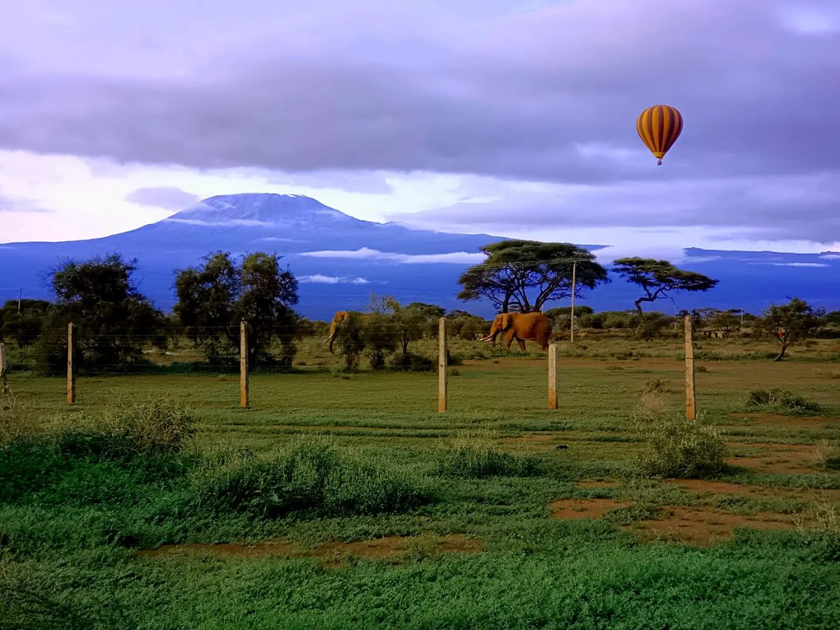 Amboseli an amazing place to be! Views of Kilimanjaro whether it is early morning looking glorious or evening when it's playing hide &amp; seek in the clouds. The highlights, the jumbos in the foreground. 
#safari #overland #tembeakenya #magicalkenya #amboseli #samburu #kilimanjaro