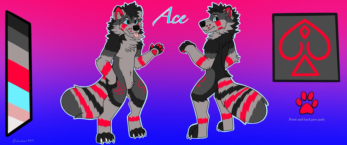 Ace 🔜 mfc tweet media