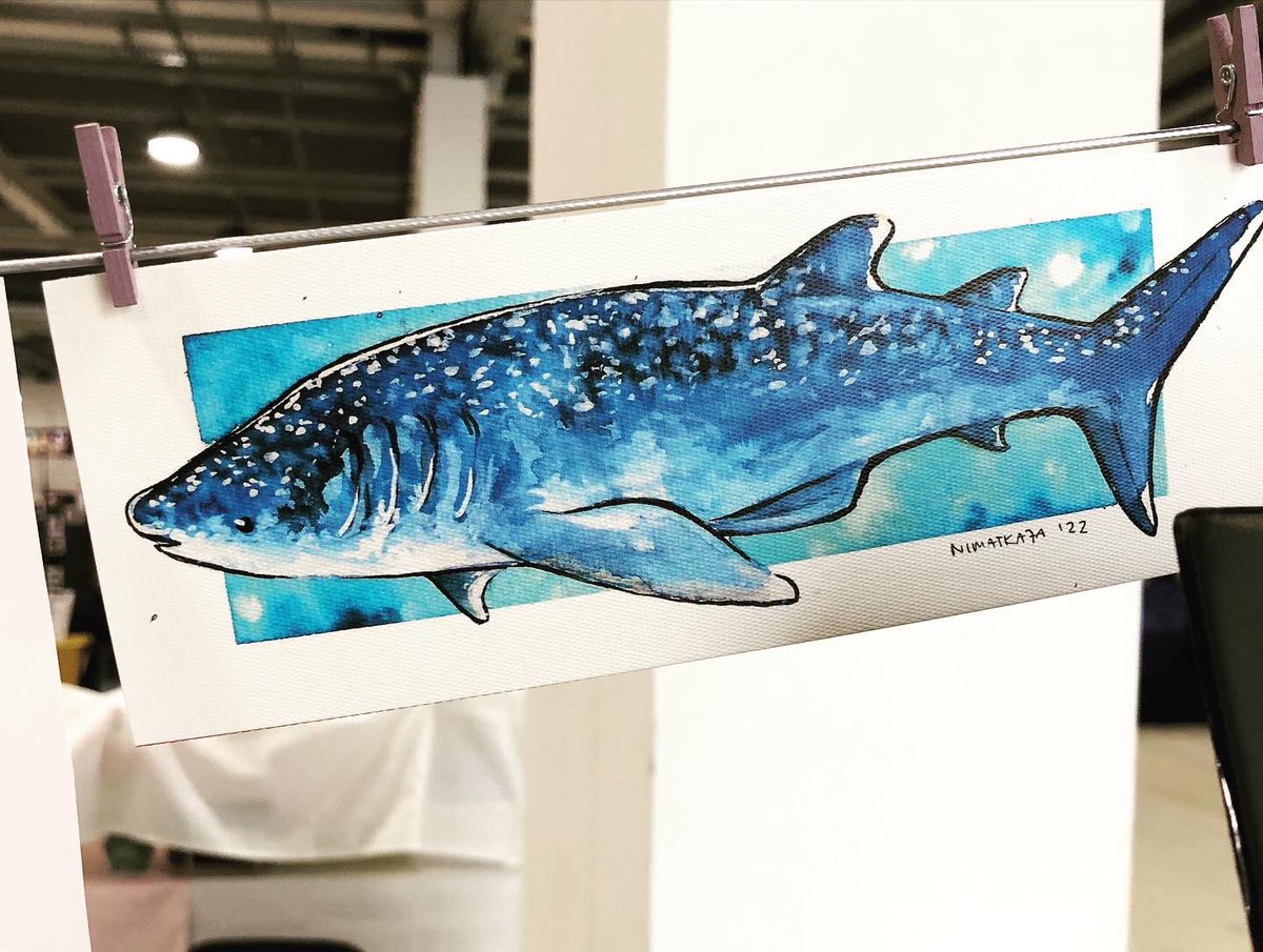 nimatkaja's tweet image. #FantasyBasel los gehts 🐬🐳🐋