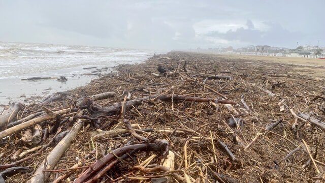 @GiuseppinaScala Questa è la spiaggia di Rimini che testimonia la mancata manutenzione e pulizia