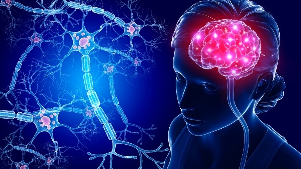 AnnaCiaunica's tweet image. Is cognition all in the head (neurons)?

Here we suggest that cognition is a complex multiscale information processing distributed across every single cell in the body 😎

We focus on the immune / neuro tandem ⁦@drmichaellevin⁩ E. Shmeleva 

frontiersin.org/articles/10.33…