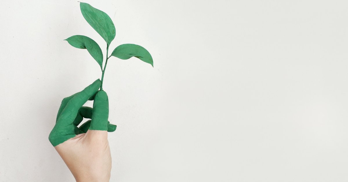 ControlPackFr's tweet image. #BLOG | JEUDI ECO 📦🌍 Optimisez votre #emballage avec les solutions de #calage écoresponsables

🌱🤔 Comment réduire votre impact environnemental tout en protégeant vos produits ?
👉 controlpack.fr/optimisation-e…

#ecoresponsable #ecologique #environnement #carton #eco #bio