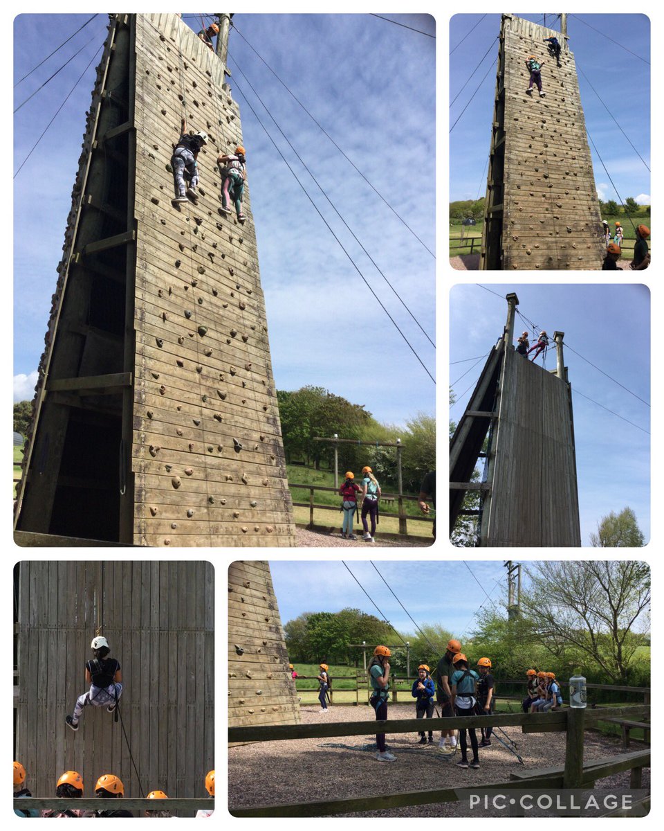 Highfield Year 5 tweet media