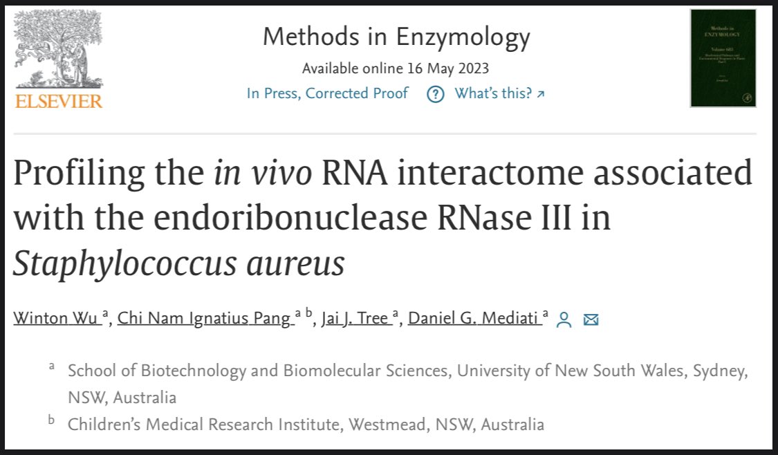 Daniel Mediati tweet media