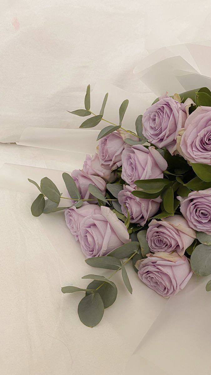 1nayf1's tweet photo. #صباح_الخير

  أخطاؤنا جزء من إنسانيتنا، وإلتزام البعض بمظهر المثالية ليس إلا تمثيل مُتقن ؛ فالكمال ليس من طبيعة البشر " https://t.co/dLDo2pLzkE