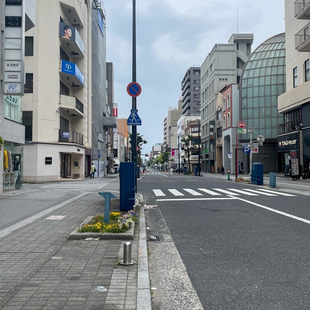 y_mkt's tweet photo. ごく普通のウィークデーの日中とは思えない閑散とした広島並木通り。
G7サミットの影響はすごいですわ。

#g7 #サミット #広島 #hirosima https://t.co/xMuuf6CXiB