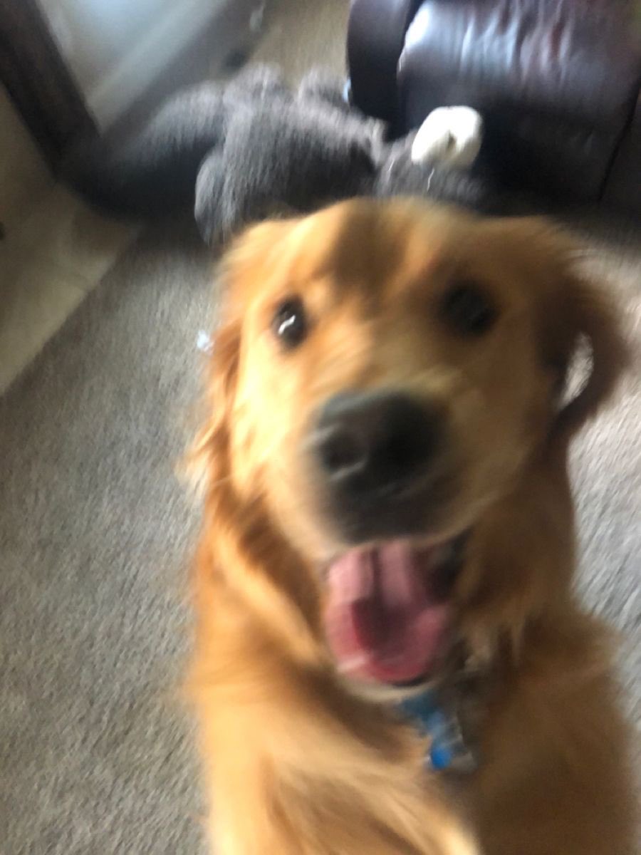 Bedroom Boys (@bedroomboyscord) on Twitter photo 