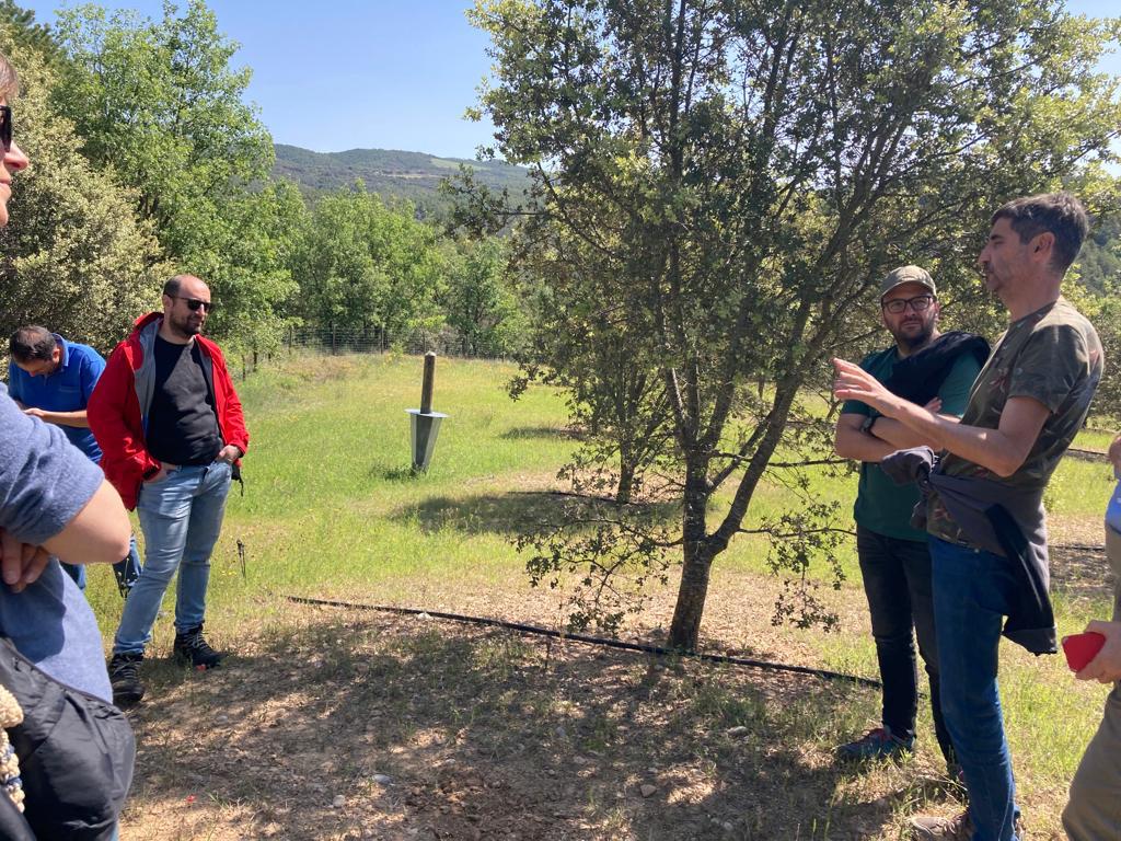 Yesterday, May 17, we organized a visit to a truffle plantation in Solsona (Lleida). 🌳   

A very interesting day for everyone! 🙌 

#wildfoodproject #wildfood #mediterranean #truffle #innovation