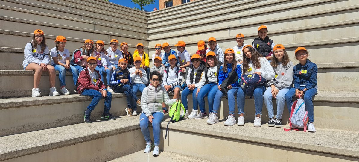 Colegio El Pinar tweet media