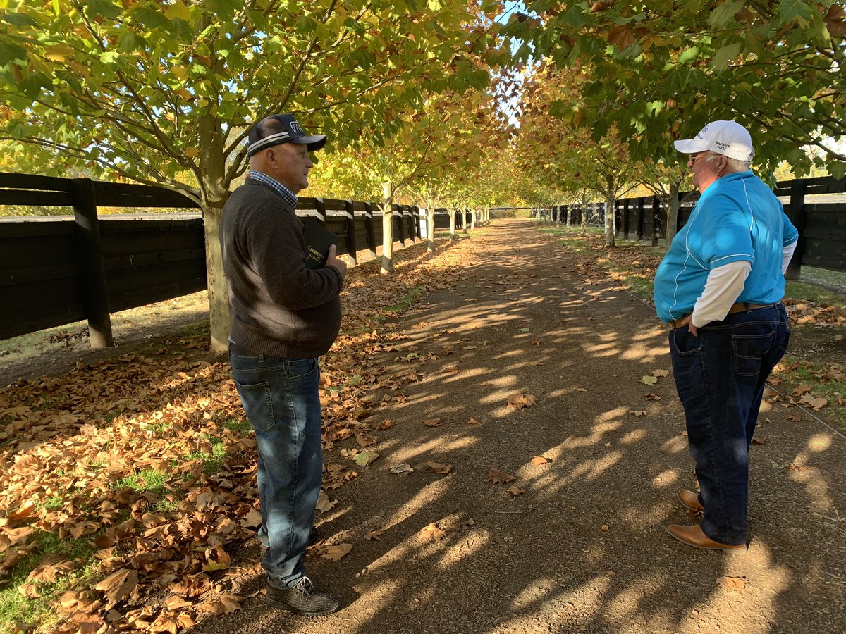 MeganBarber7's tweet photo. What a fantastic day with Craig Benjamin’s Upper Hunter Tours - such a beautiful day to visit Widden, Baramul, and Arrowfield horse studs! #thoroughbreds #huntervalley #BUCKETLIST https://t.co/djRqq2ynOP
