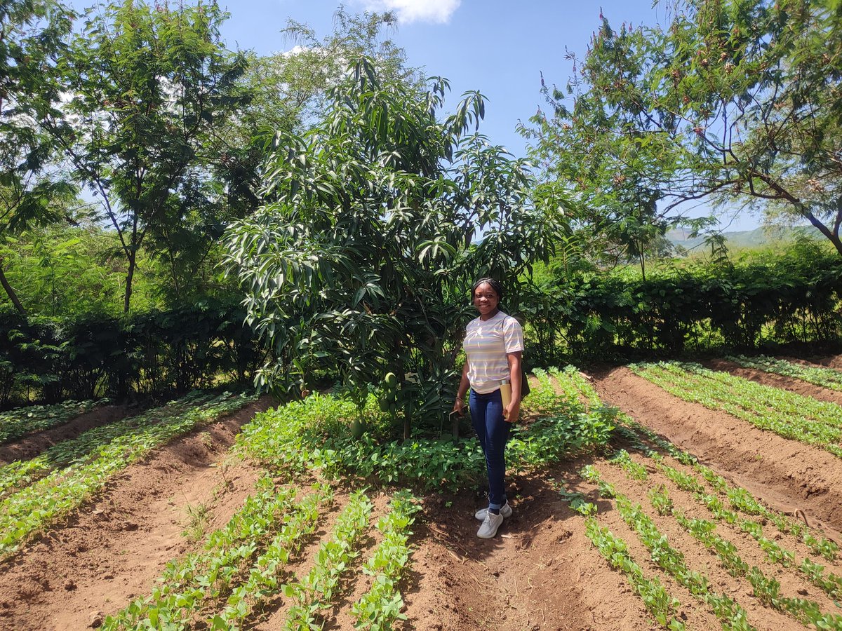 marielle_smith1's tweet photo. V inspiring visit to @Treesftf on @BUForestry's MSc Uganda study tour. They are helping local farmers to restore their land and improve livelihoods &amp; nutrition through extensive training in tree planting &amp; other agroforestry techniques @philkihum @Bid_Webb @Nothauga @EefkeMollee https://t.co/21ikIsRWTN