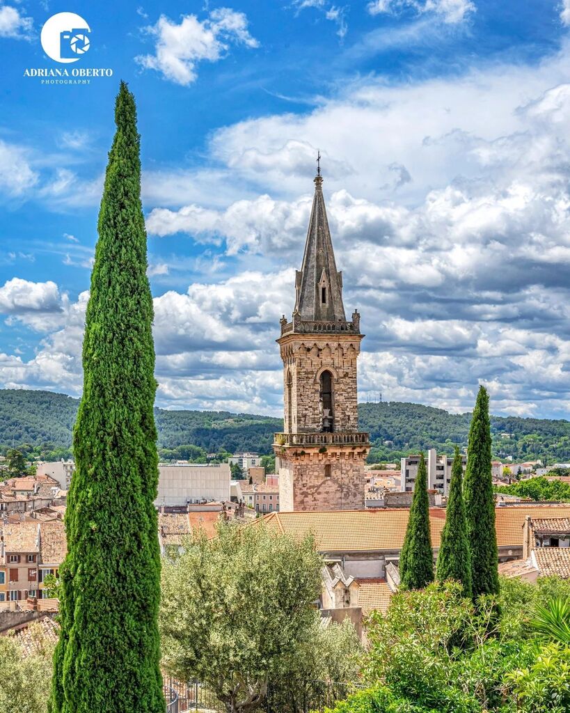 Adriana Oberto tweet media