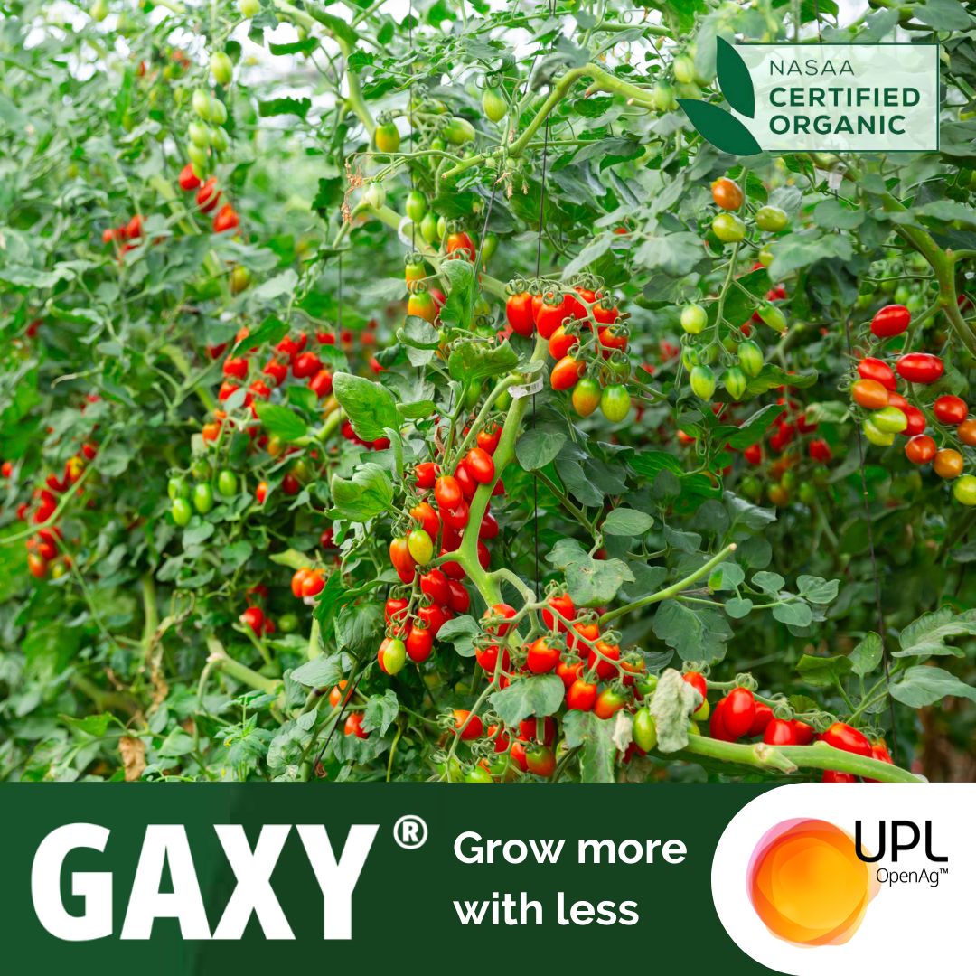 🌱Grow more with less – use GAXY®
Maximise productivity & minimise inputs with #GAXY®🥦
🍅Help #horticulture & #orchard #crops reach their full potential with a low application rate. Super-concentrated & cost-effective 👉 bit.ly/40v
#UPL #OpenAg #certifiedorganic