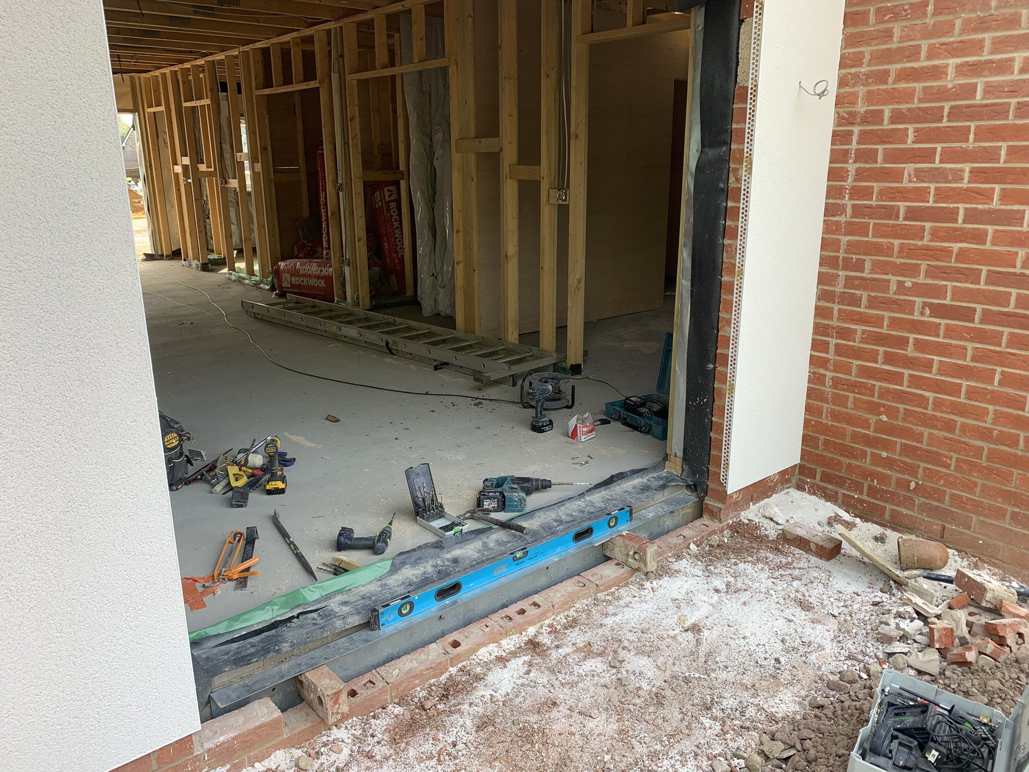 Latex Mallard on Twitter: 