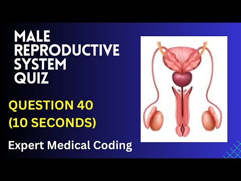 AmyHopman's tweet image. #medicalcoding #malereproductivesystem #quiz #trending #mbbs #neet #study #education #learn #nursing schoolsformedicalbilling.org/medicalcoding-…