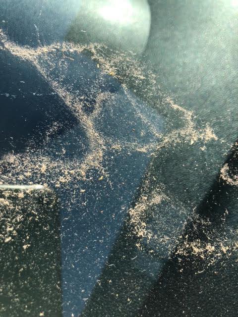 Cllr Terry Evans tweet media