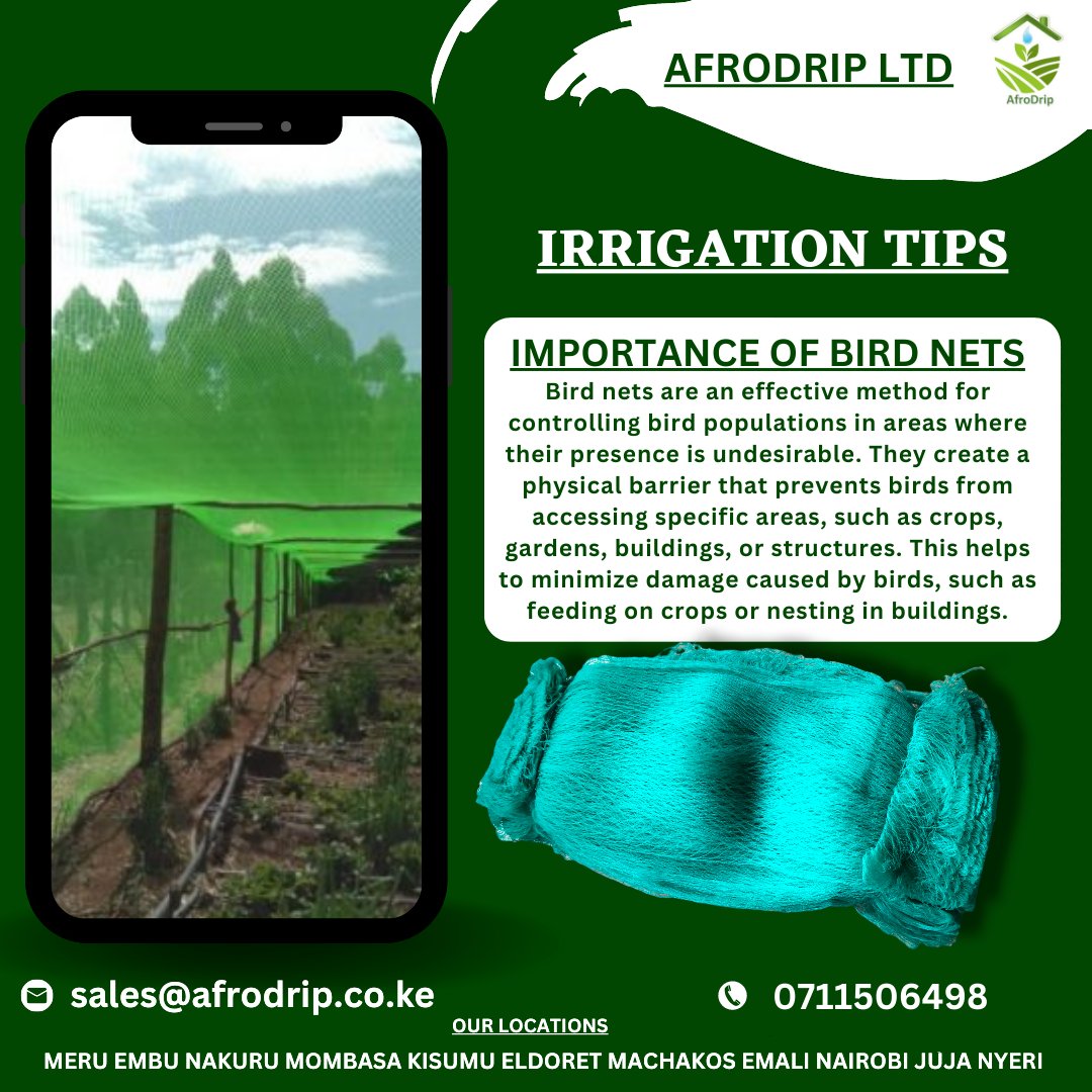 Afrodrip_ltd's tweet image. Bird nets. Unlike other methods such as chemical repellents or traps, bird nets do not harm or kill birds. They simply create a physical barrier that encourages birds to find alternative locations, reducing conflicts between birds and humans.

#afrodrip #birdnet #birdnetting