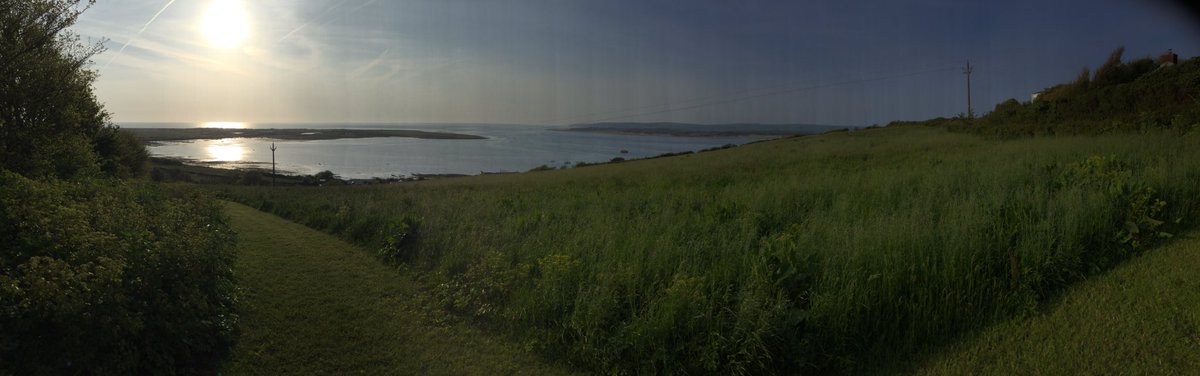 Highfield Year 5 tweet media