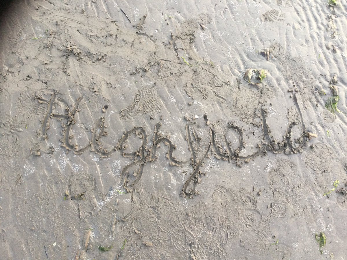 Highfield Year 5 tweet media