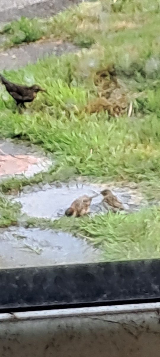 Weeks ago we discovered a leak in our garden. It's next doors water supply. <a href="/SouthWestWater/">South West Water</a> attended &amp; agreed.
I run a business from home. My wedding 👗 clients are still having to negotiate this. 
Repair it please.