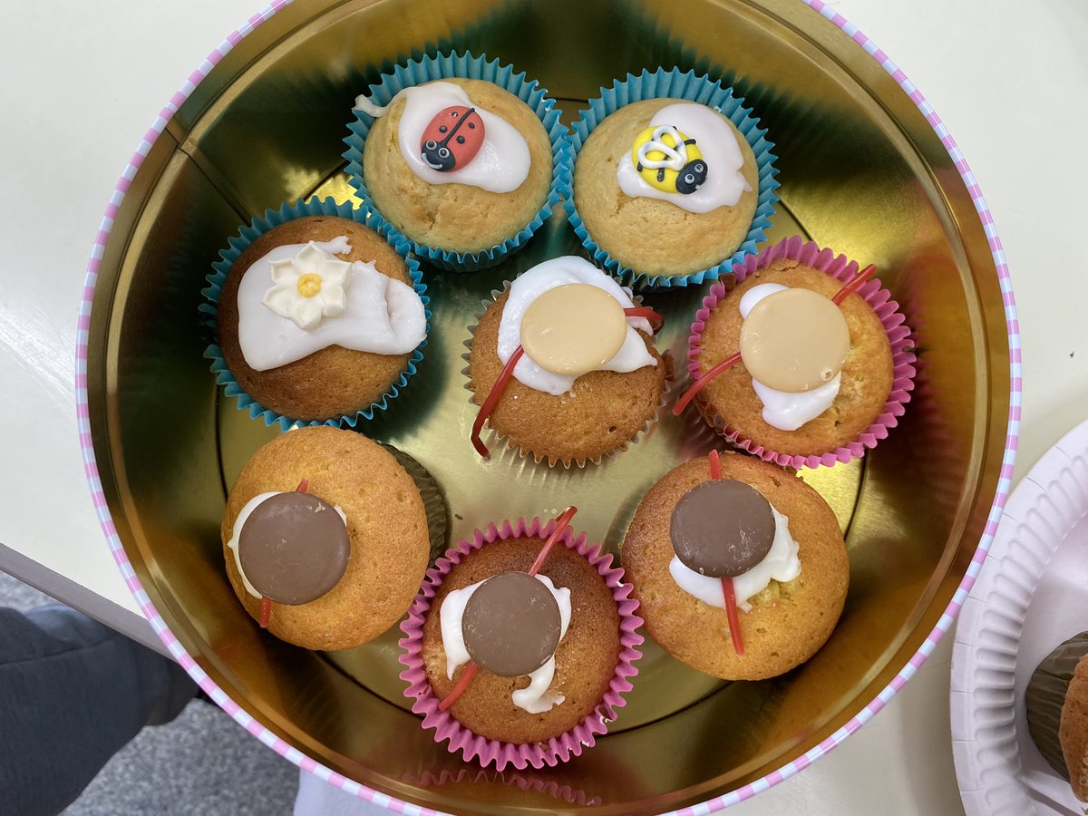 CherryLearning's tweet photo. Delicious bug inspired cakes made by our KS3 and year 10s 🧁#thisisAP #skylarkpartnership #ExtraCurricular #bakingforfun https://t.co/Pnfq6e4qM4