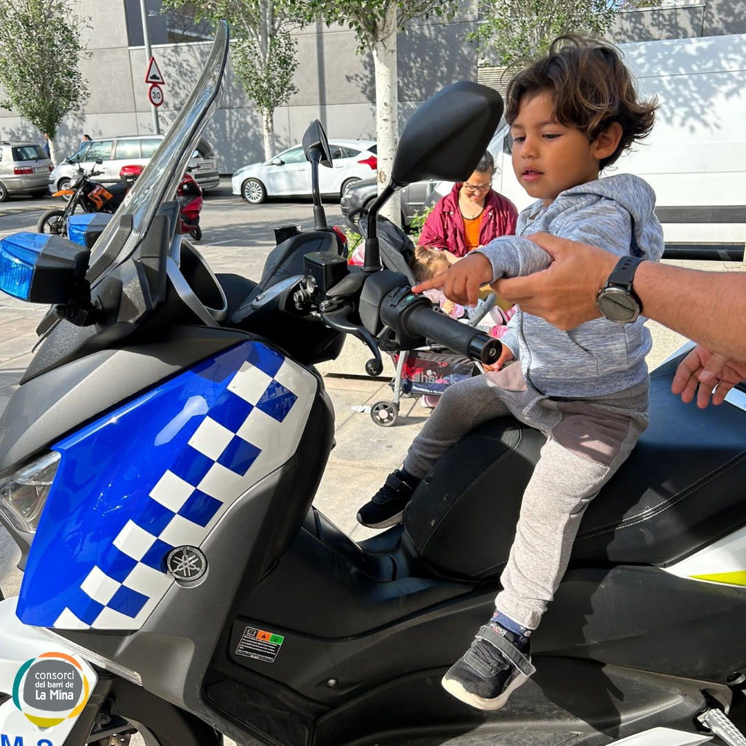 Fem Família tweet media